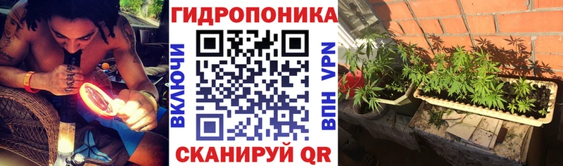 цена Жигулёвск МАРИХУАНА семена